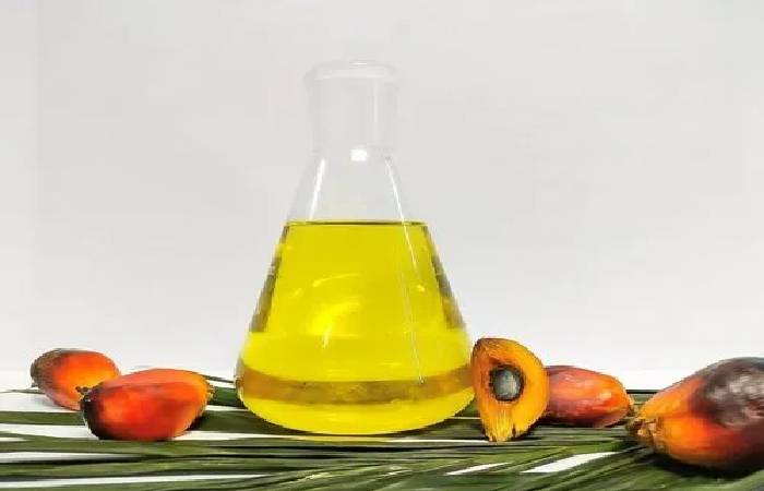 Palm oil  Write For Us